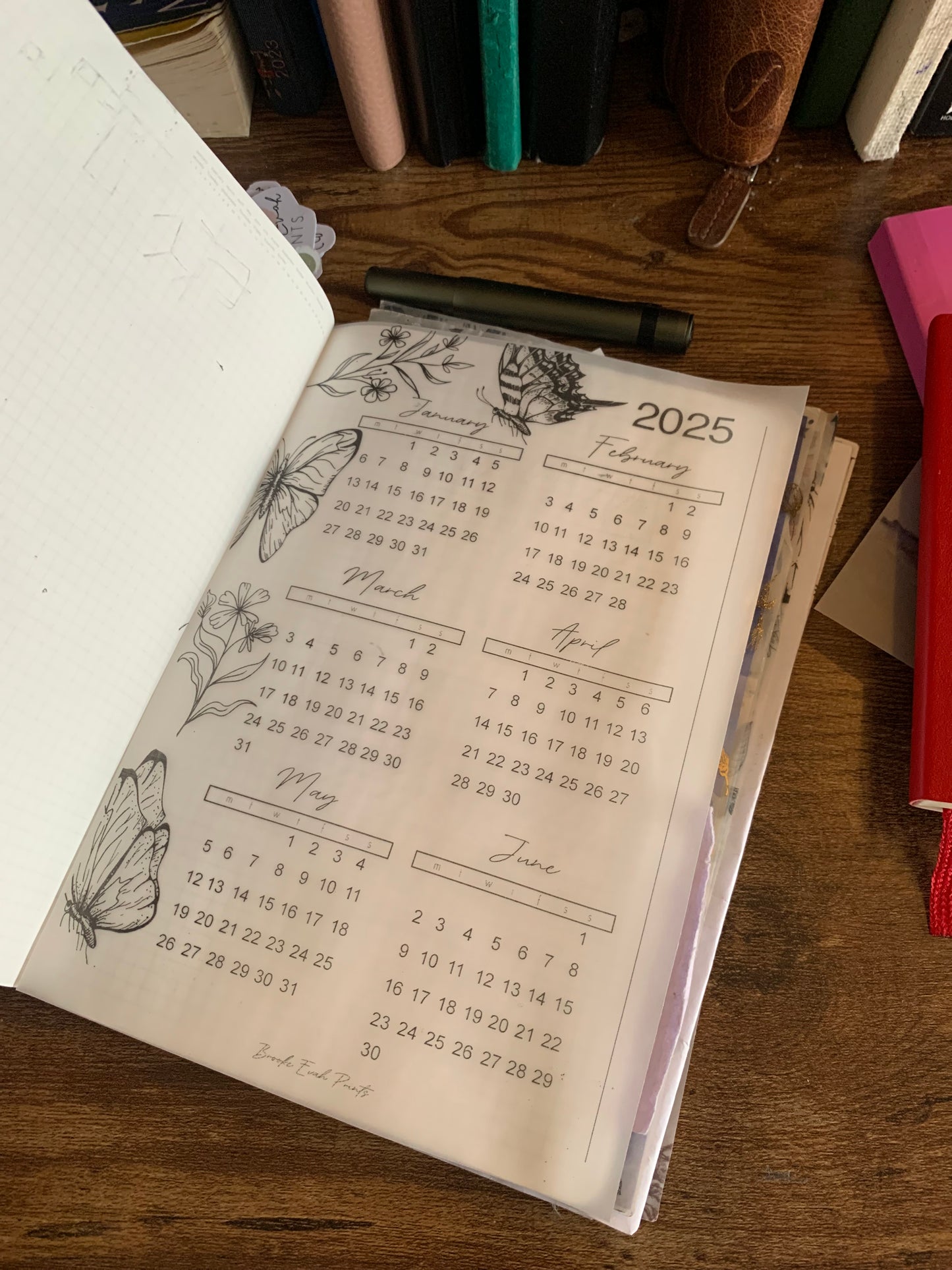 2026 Calendar - Printed Vellum X Acetate Planner Dashboards - 2026 January - June Calendar Overview -Peekaboo Butterfly