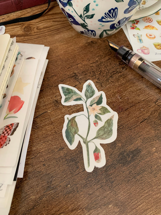 Green and Red Pepper Bush Hand Drawn Watercolor Sticker Flake -  Pepper Bush