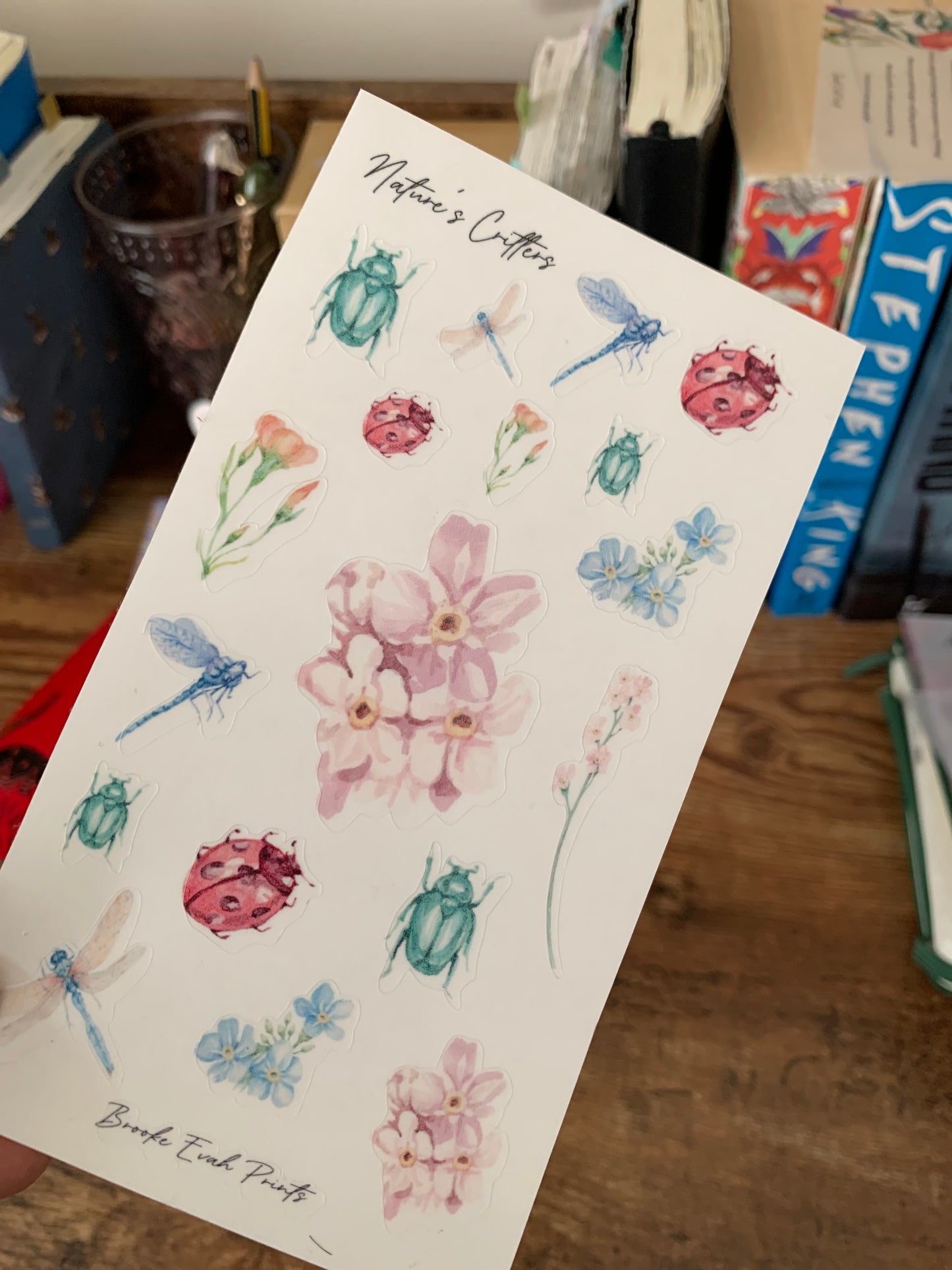 Ladybird and Minibeast Stickers • Hand drawn Critters - Scrapbook Clear Stickers - Nature’s Critters 🐞