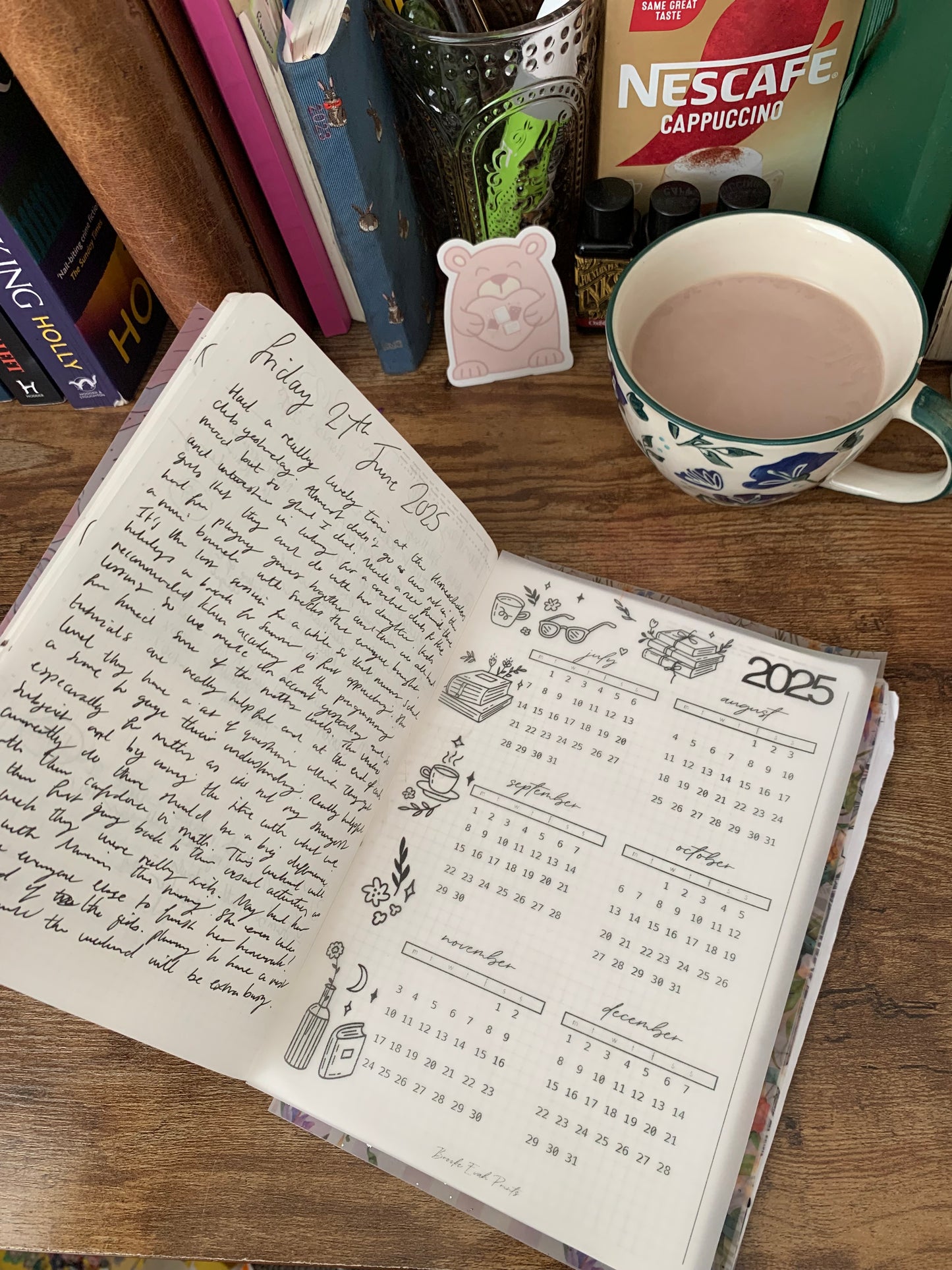 Printed Vellum X Acetate Planner Dashboards - July - December Calendar 2025 - Books 📚💖