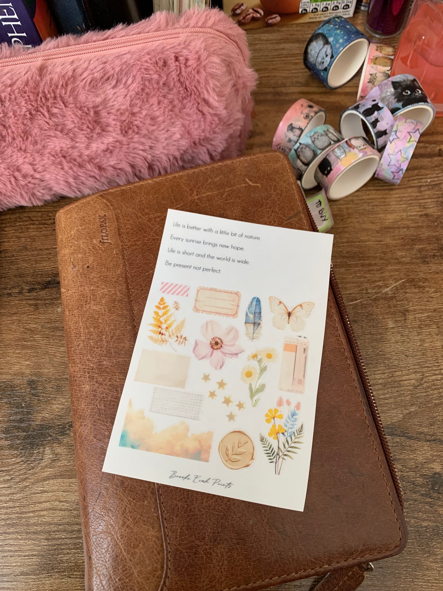 Nature Collage Hand Drawn Cute Stickers • Butterfly and Feather Stickers - Scrapbook Clear Stickers - Watercolor - Spring Collage II