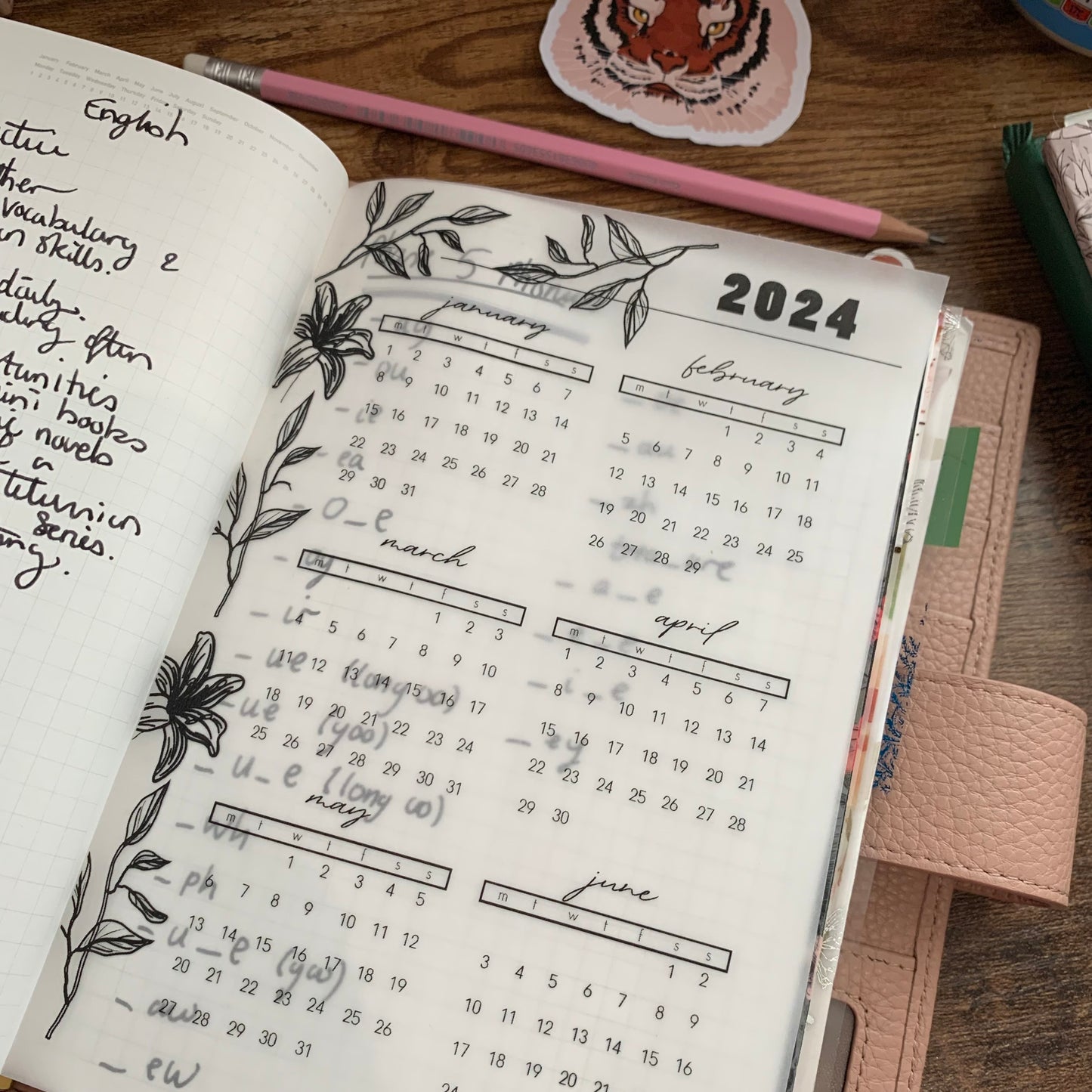 Printed Vellum X Acetate Planner Dashboards - 2024 Jan- June Calendar -Floral Outline