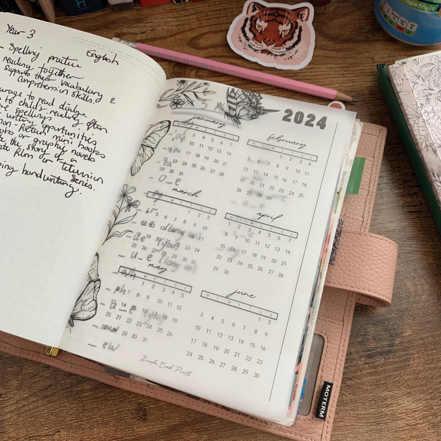Printed Vellum X Acetate Planner Dashboards - 2024 Jan- June Calendar -Peekaboo Butterfly