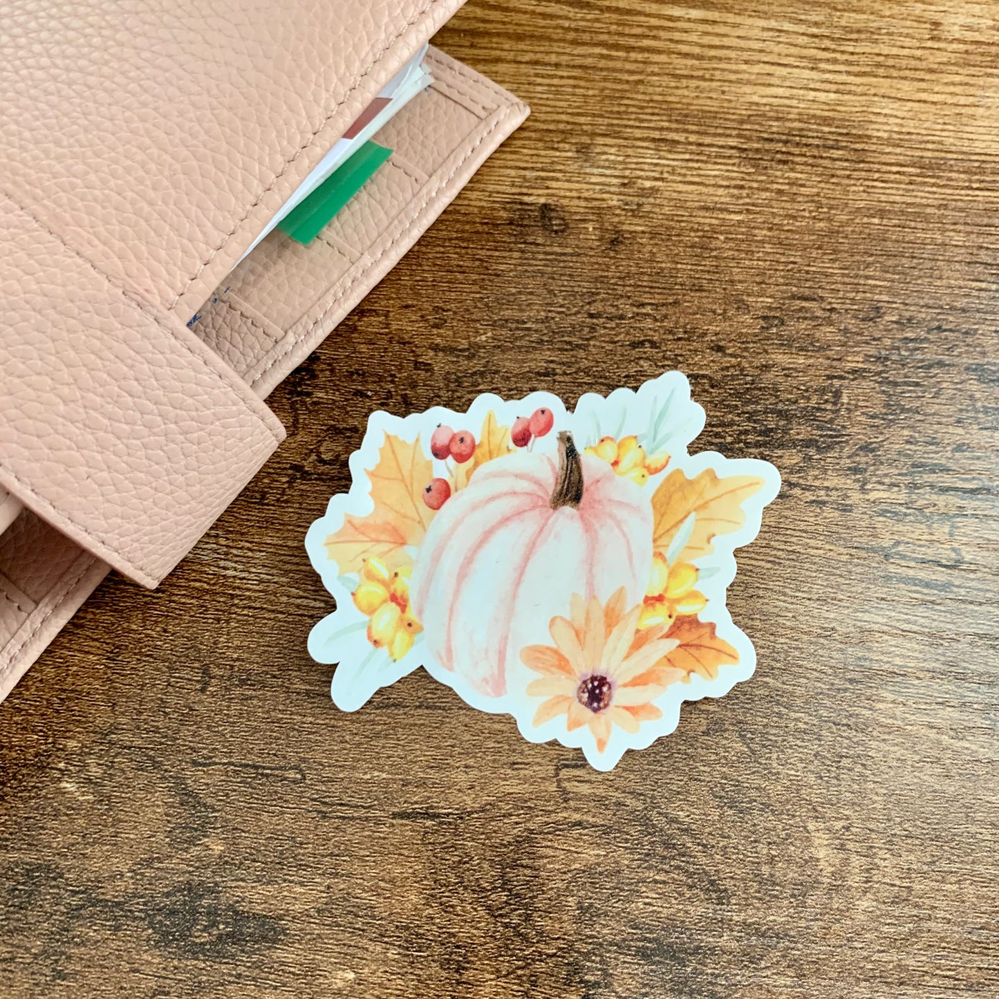 Pastel Pink Pumpkin Water Colour Sticker Flake - Pink
