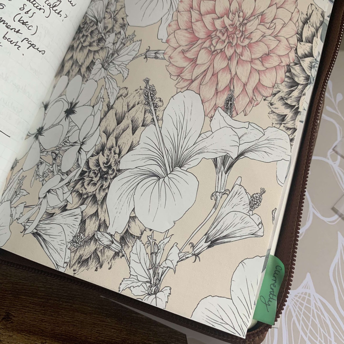 Planner Dashboard Tomoe River Paper - June Blooms v3