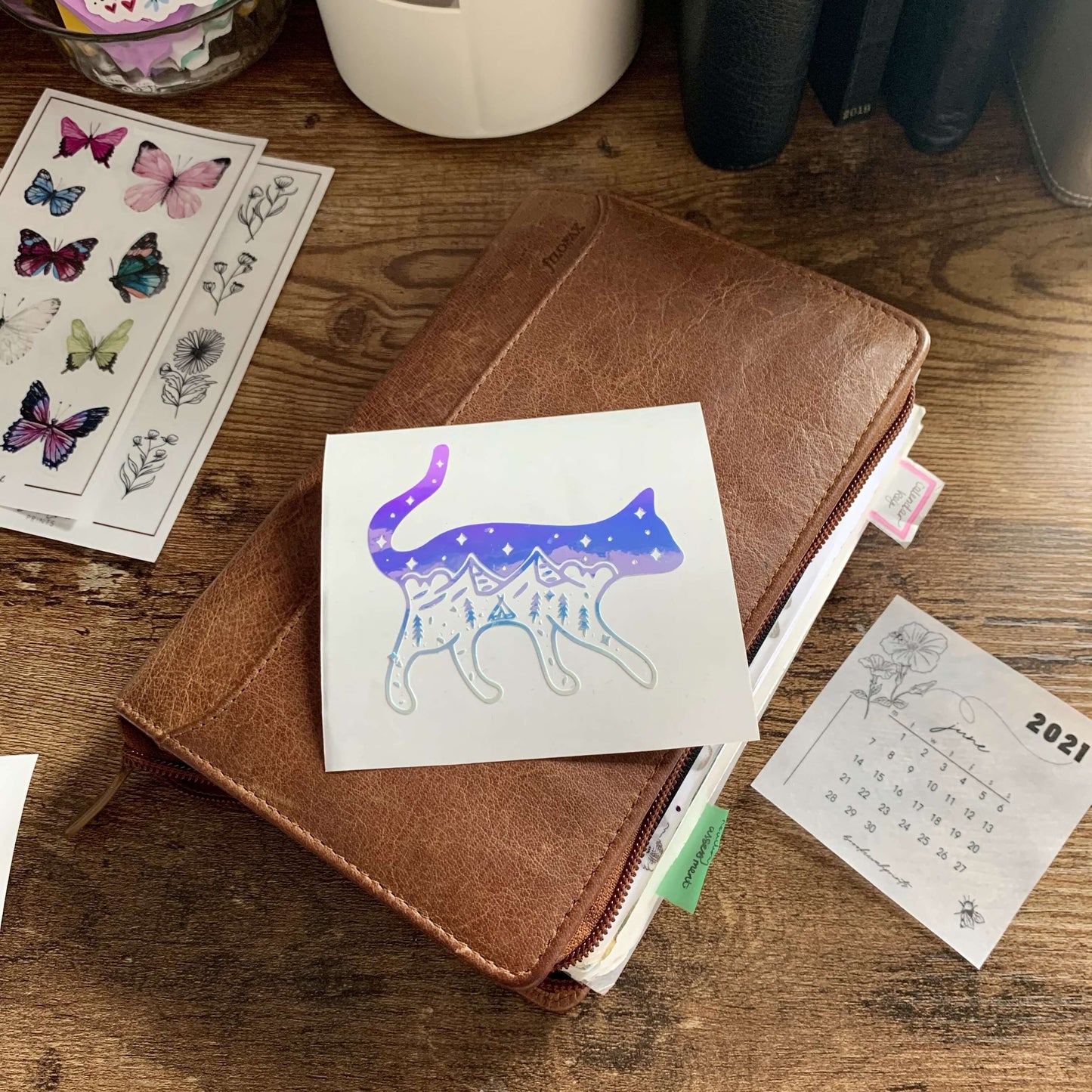 Cat Adventure Vinyl - The Summer Breeze Collection