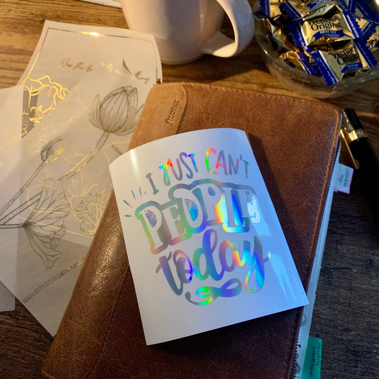 I Just Can’t People Today Funny Quote Vinyl Decal Sticker