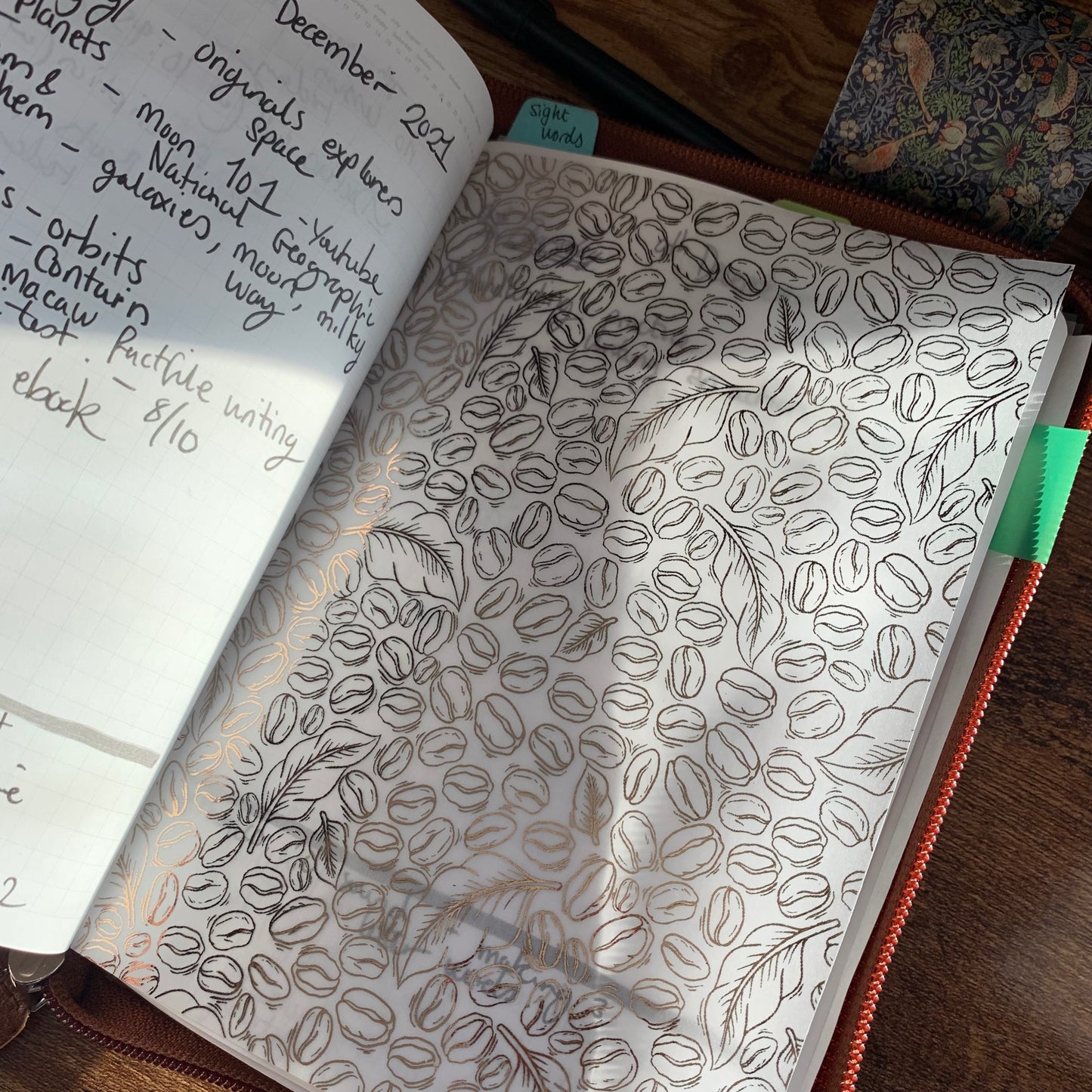 Coffee Beans - Vellum X Acetate Planner Dashboard - Rose Gold Foil