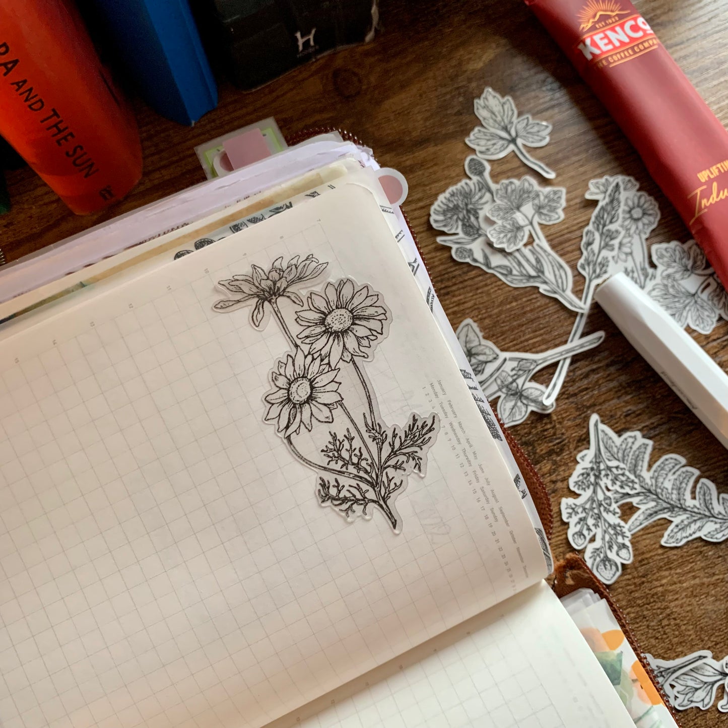 Clara -Botanical Hand Drawn Sticker Flakes - Pack of 18