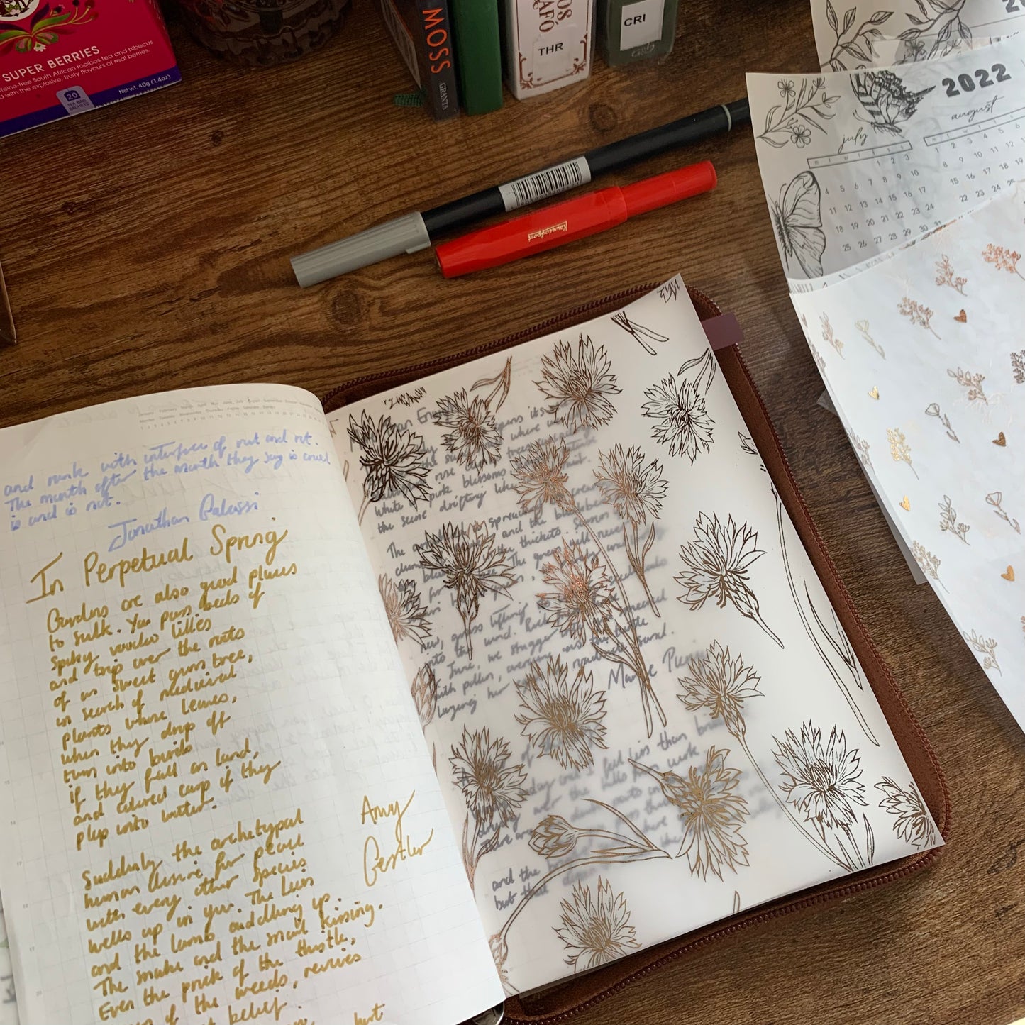 Rose Gold Mayflower Vellum X Acetate Planner Dashboard - Mayflower II