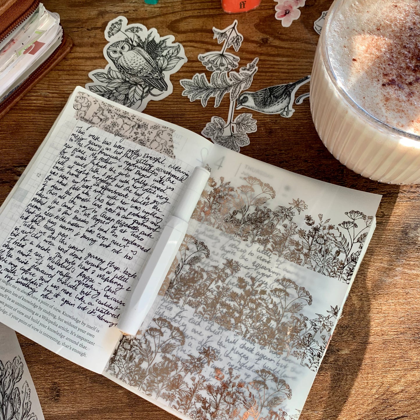 Rose Gold Foiled Hand drawn Botanical Floral Patter- Vellum X Acetate Planner Dashboard - Secret Garden