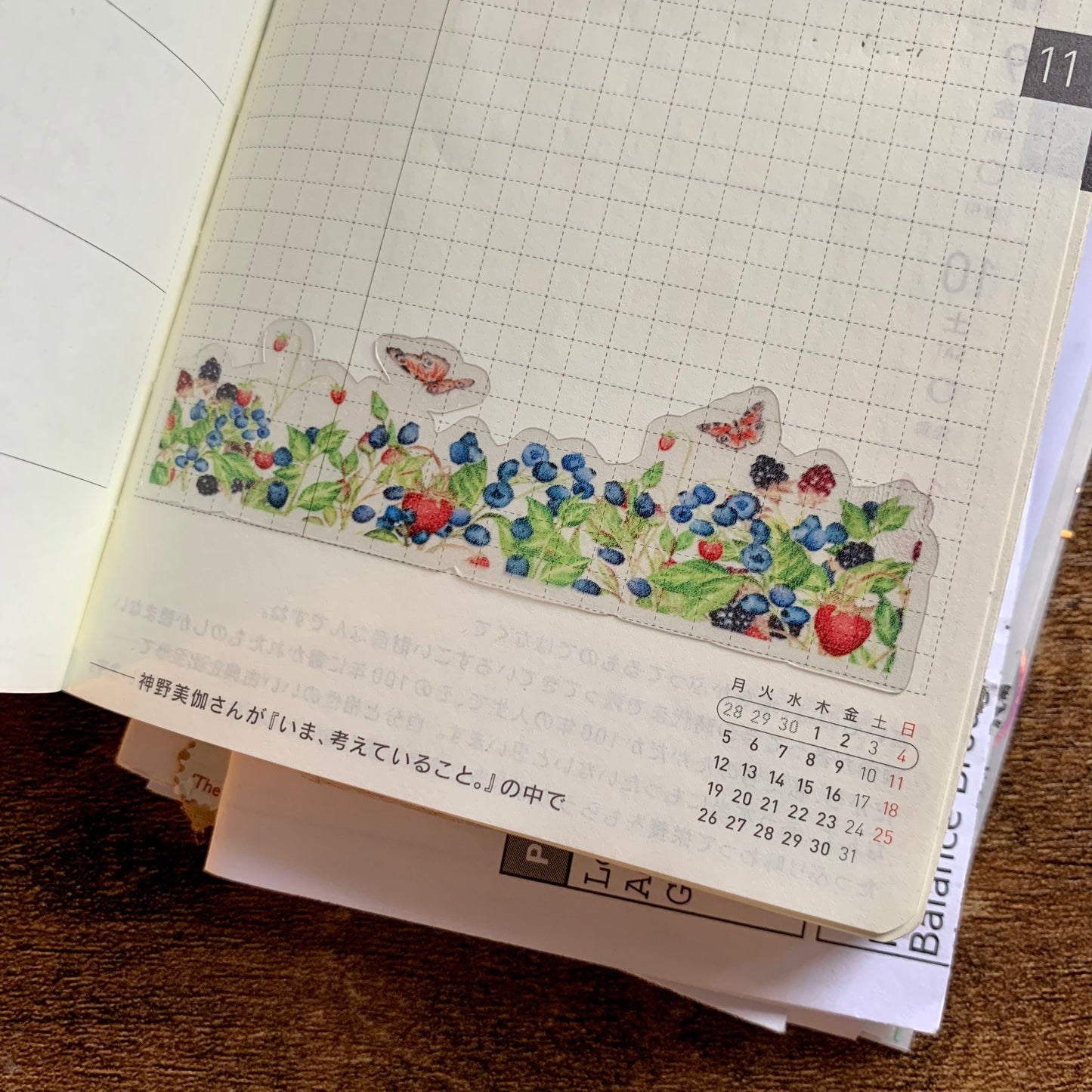 Beautiful Transparent Blueberry Wild Bush Sticker Sheet - Washi Stickers