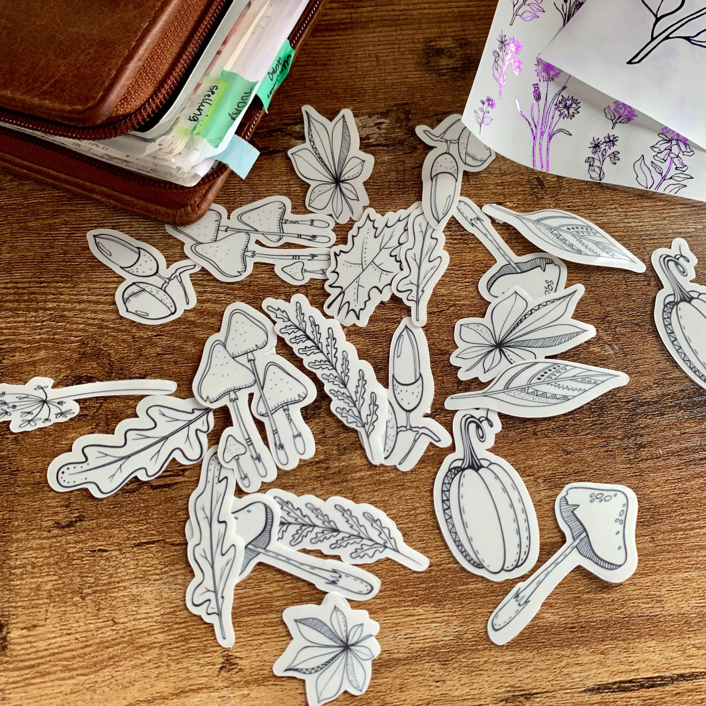 Fall themed outline Sticker Flakes - Pack of 21