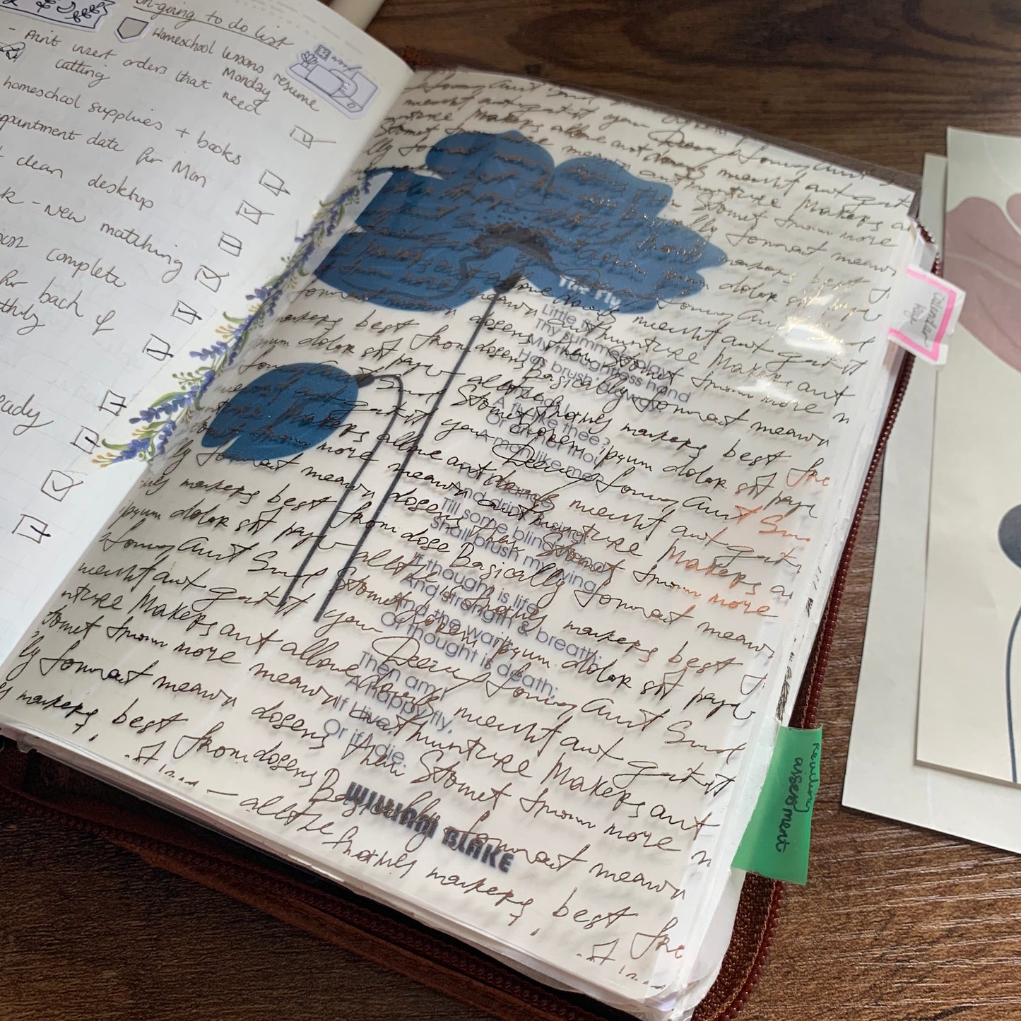 Printed Tomoe River X Vellum Planner Dashboard- The Fly 🪰
