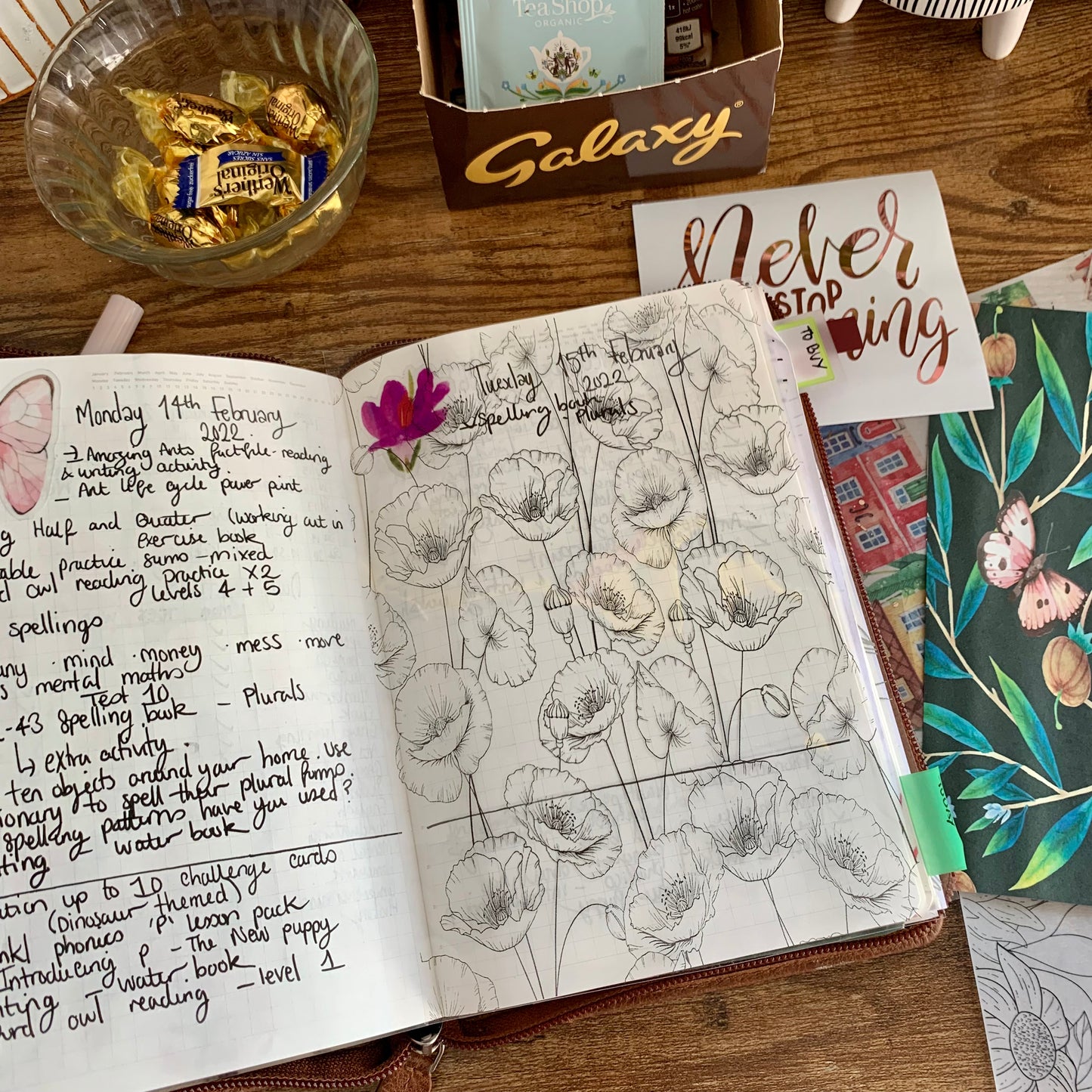 Poppy Vellum X Acetate Planner Dashboards - Crystal