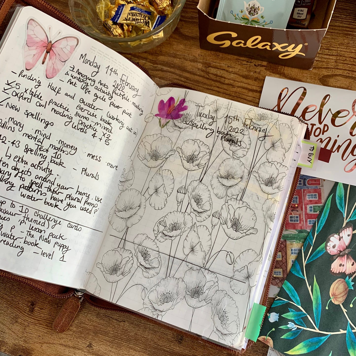 Poppy Vellum X Acetate Planner Dashboards - Crystal