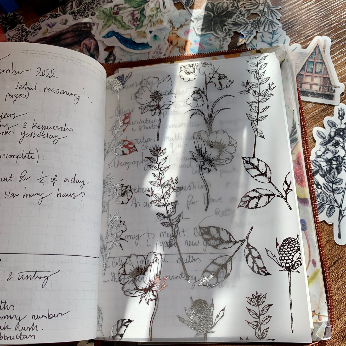 Silver Foiled Botanical Hand Drawn Floral Vellum X Acetate Planner Dashboard - Amelia Snow
