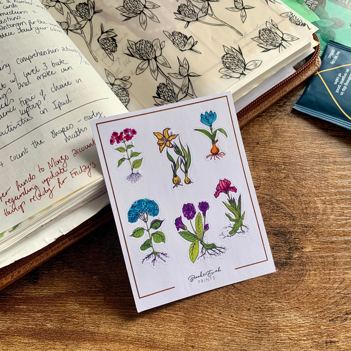 Vintage Humming Bird Collection Stickers