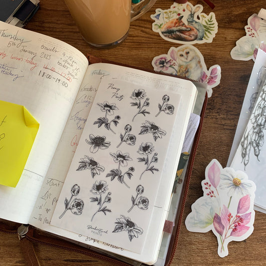 Hand Sketched Peony Minimal Floral Clear Stickers - Peony Party 💖