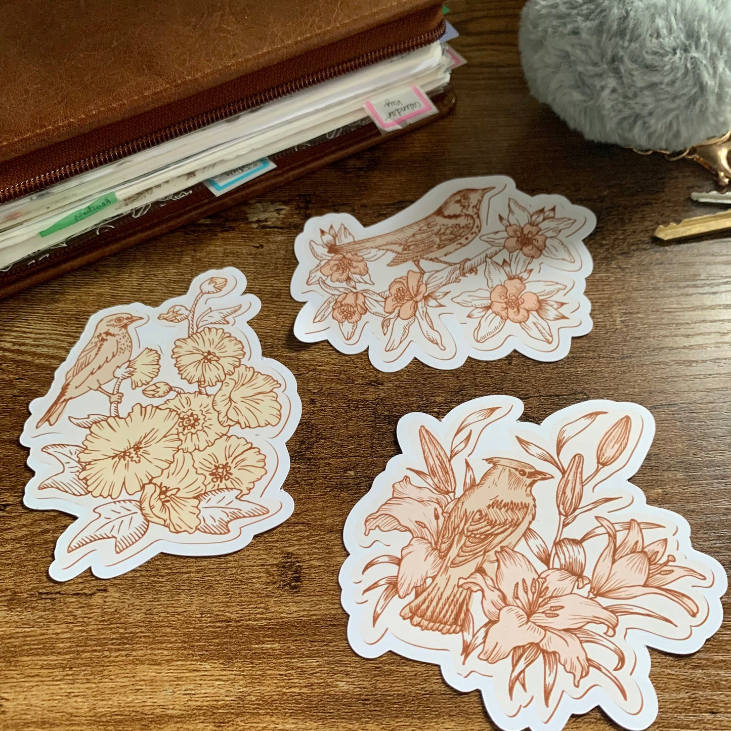 Large Vintage Bird Stickers - Set of 3