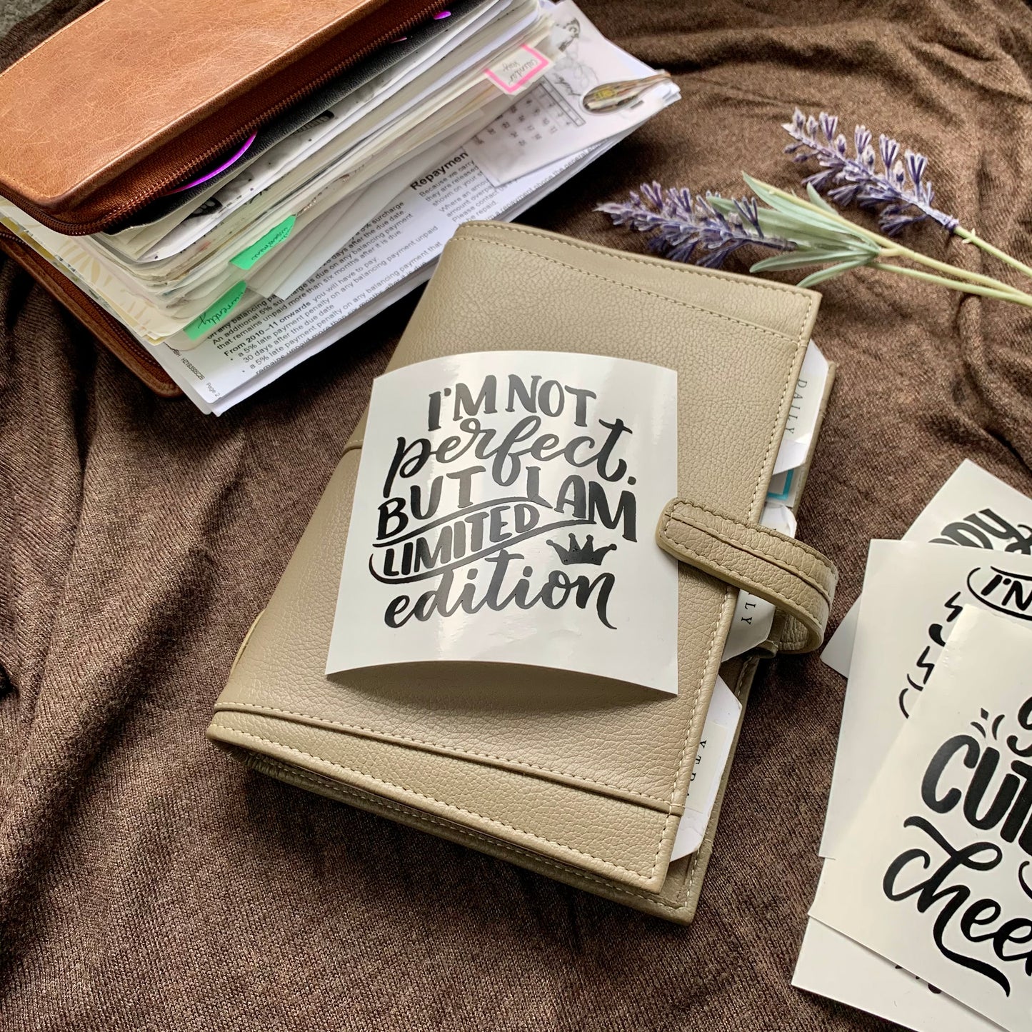 I’m not perfect But I am limited edition Vinyl