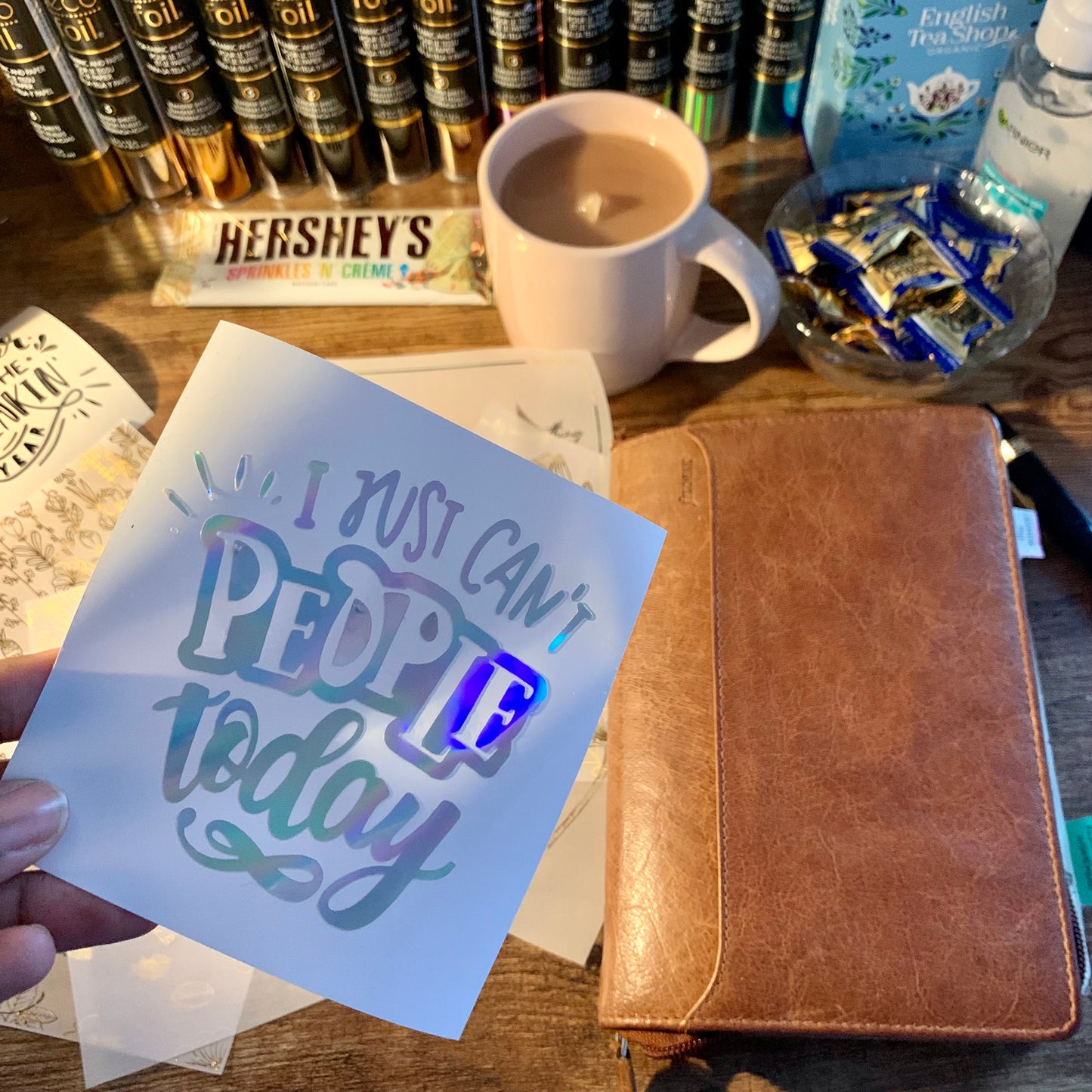 I Just Can’t People Today Funny Quote Vinyl Decal Sticker