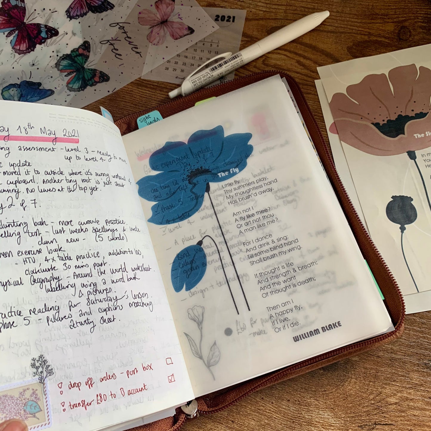 Printed Tomoe River X Vellum Planner Dashboard- The Fly 🪰