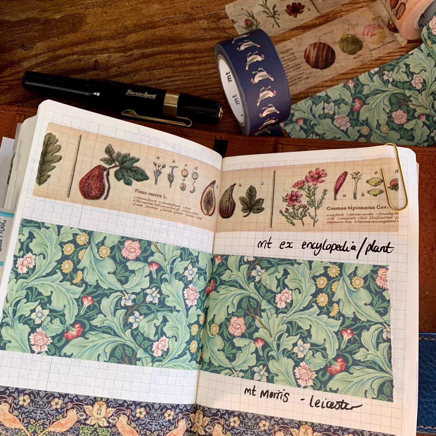 Mt Washi Tape - Mt Ex Collection - Plant Encyclopedia