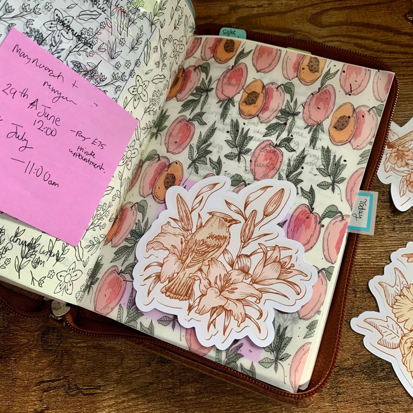 Large Vintage Bird Stickers - Set of 3