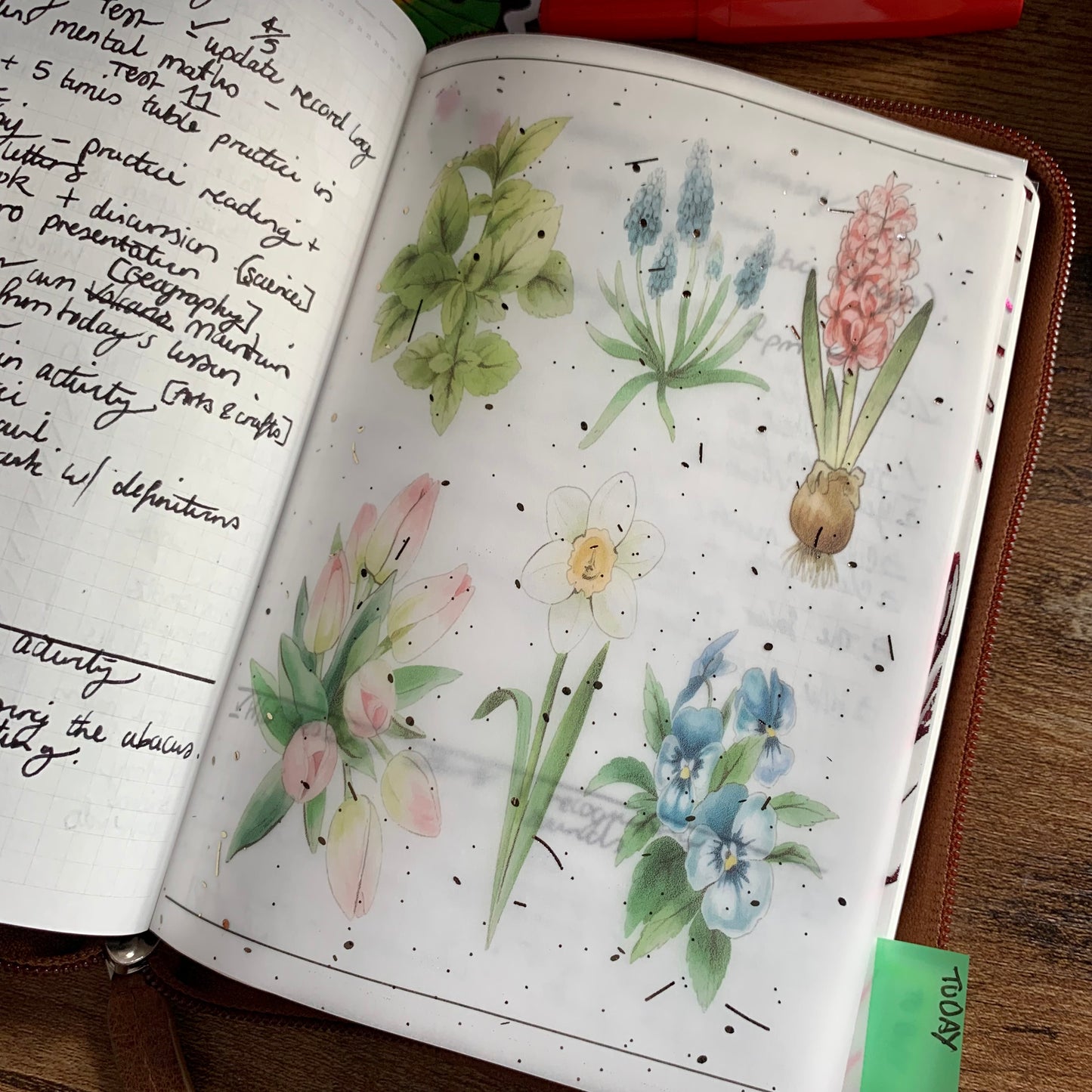 Foiled Rose Gold Vellum Botanical Plant Planner Dashboard - Frida