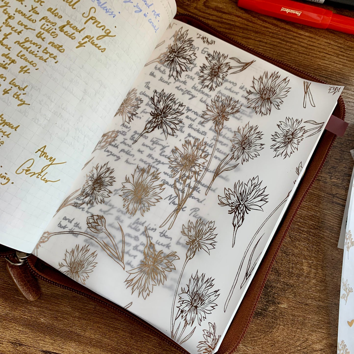 Rose Gold Mayflower Vellum X Acetate Planner Dashboard - Mayflower II