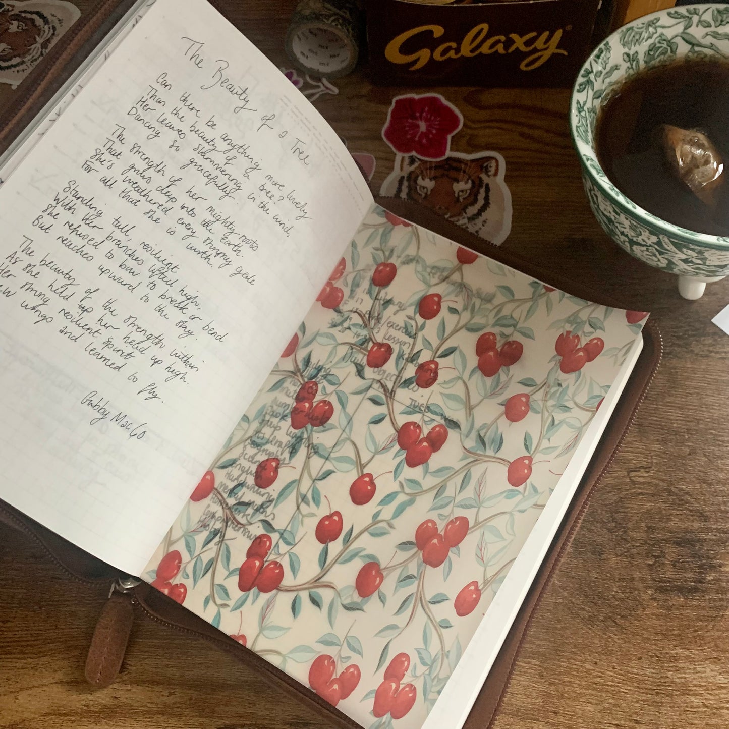 Red Fruit Print - Vellum Planner Dashboard - Bon Appétit