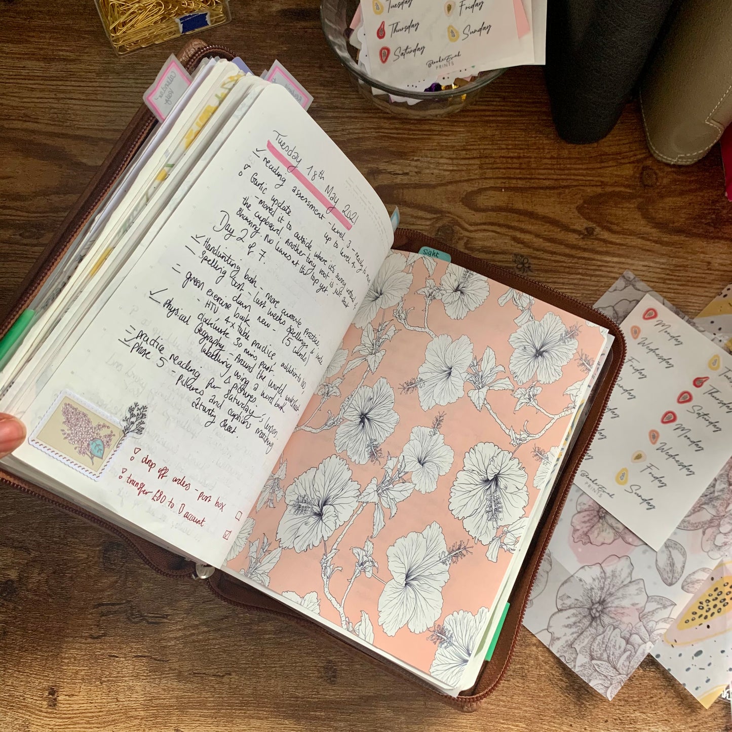 Printed Tomoe River Paper Planner Dashboards- Jane