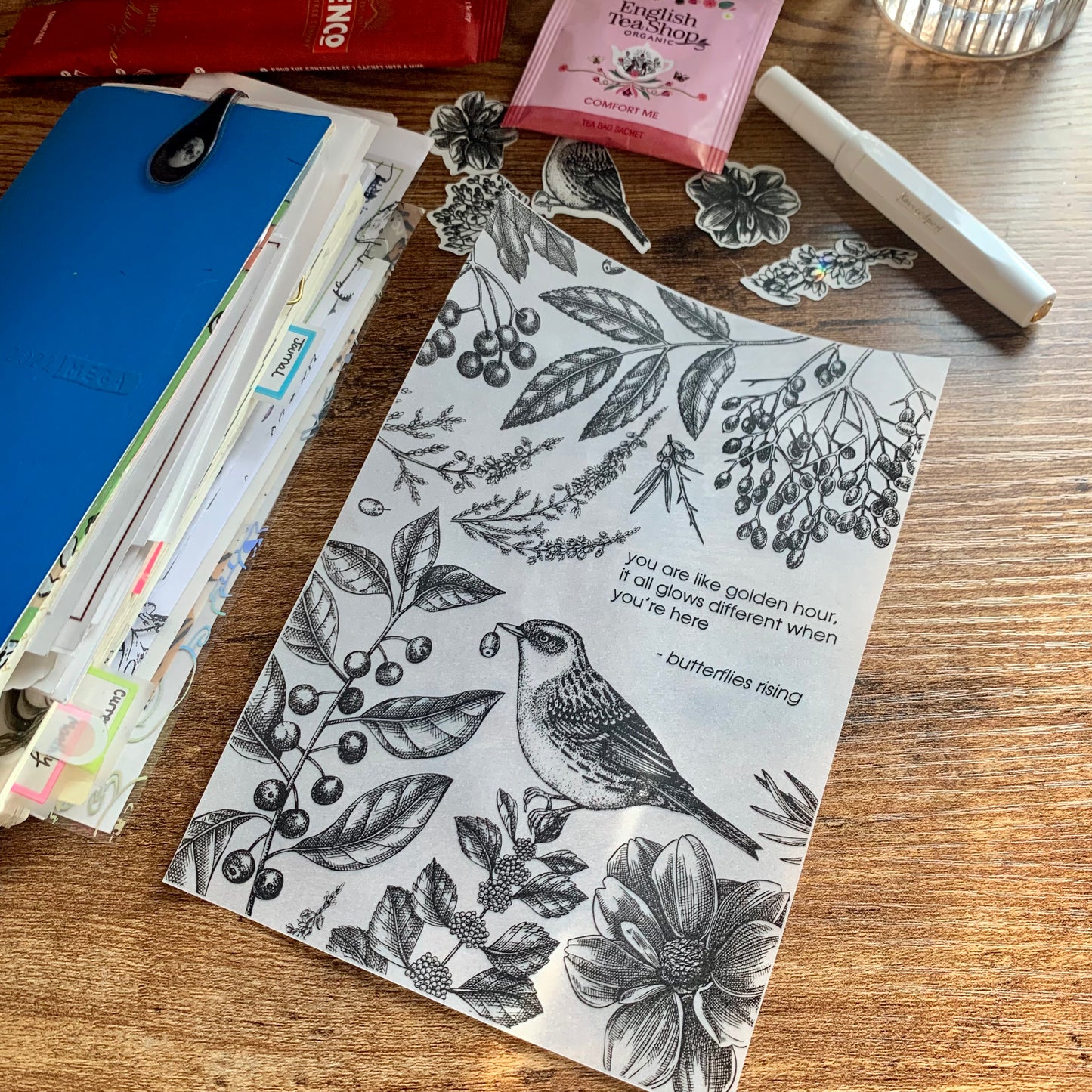 Foiled Botanical Hand Drawn Vintage Birds & Floral Vellum X Acetate Planner Dashboard - Golden Hour 🎁🖤