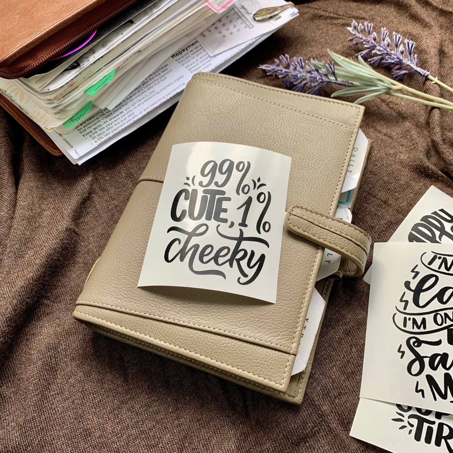 Cheeky Quotes- Vinyl Sticker Set