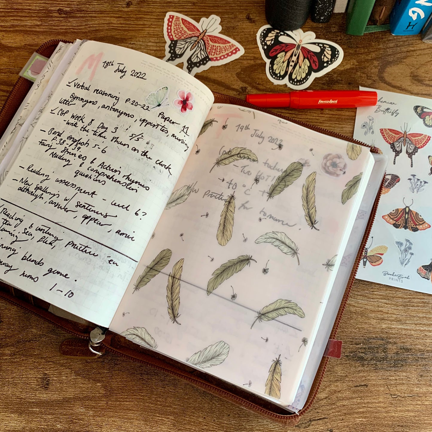 Pink & Brown Hand Drawn Feather Pattern - Vellum Planner Dashboard - Birds of a feather