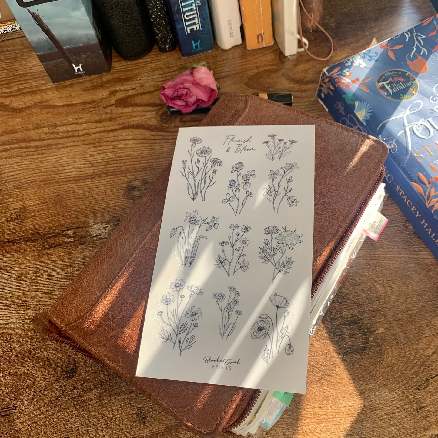 Flourish & Bloom Wildflower Sketch Stickers - Transparent Stickers