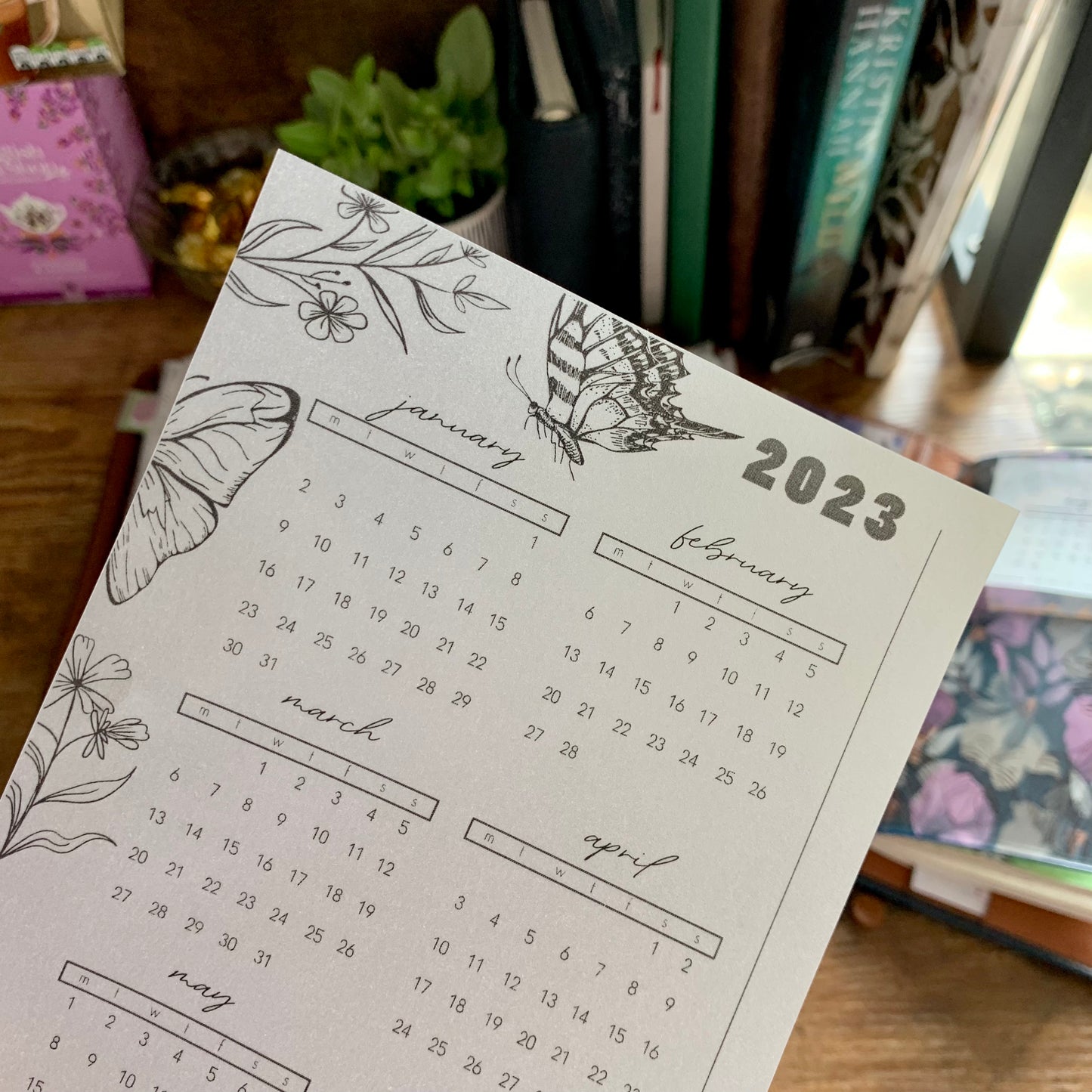 Printed Vellum X Acetate Planner Dashboards - 2023 Jan- June Calendar -Peekaboo Butterfly