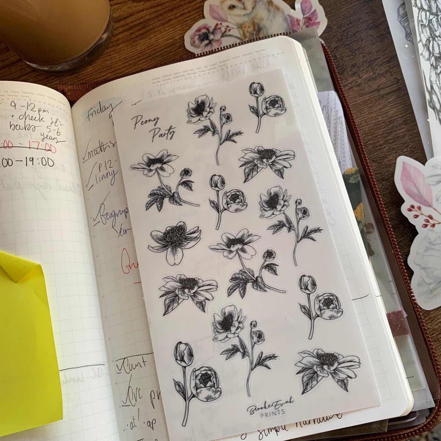 Hand Sketched Peony Minimal Floral Clear Stickers - Peony Party 💖