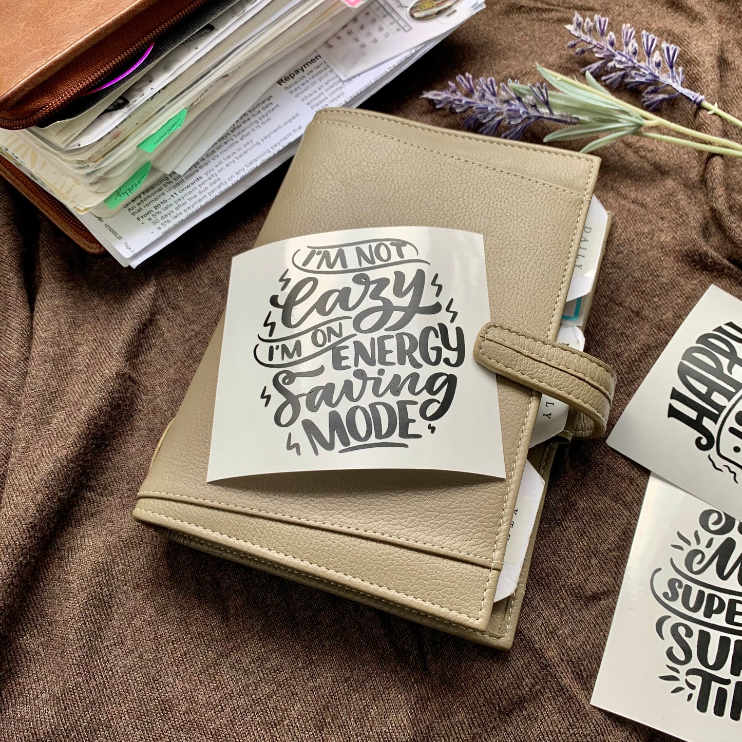 Cheeky Quotes- Vinyl Sticker Set