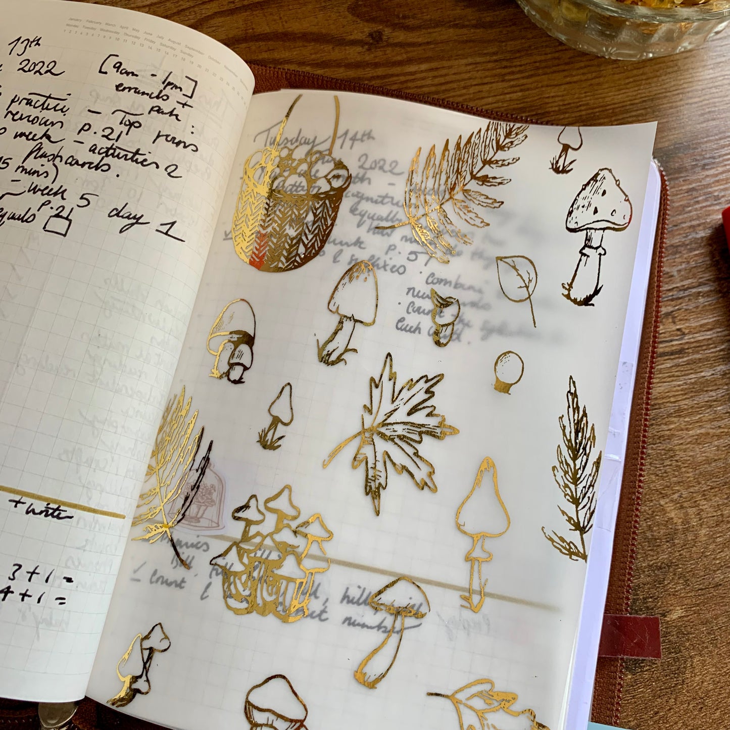 Gold Foiled Fall themed Leaves & Mushrooms • Vellum X Acetate Planner Dashboards - Autumn Feels