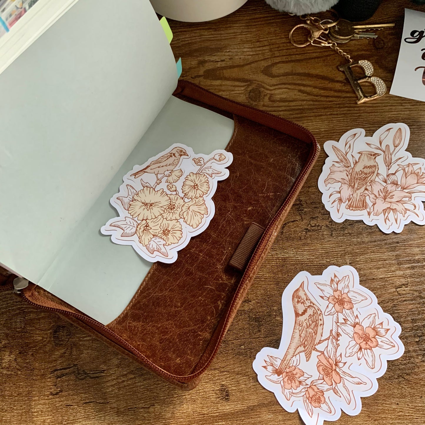 Large Vintage Bird Stickers - Set of 3