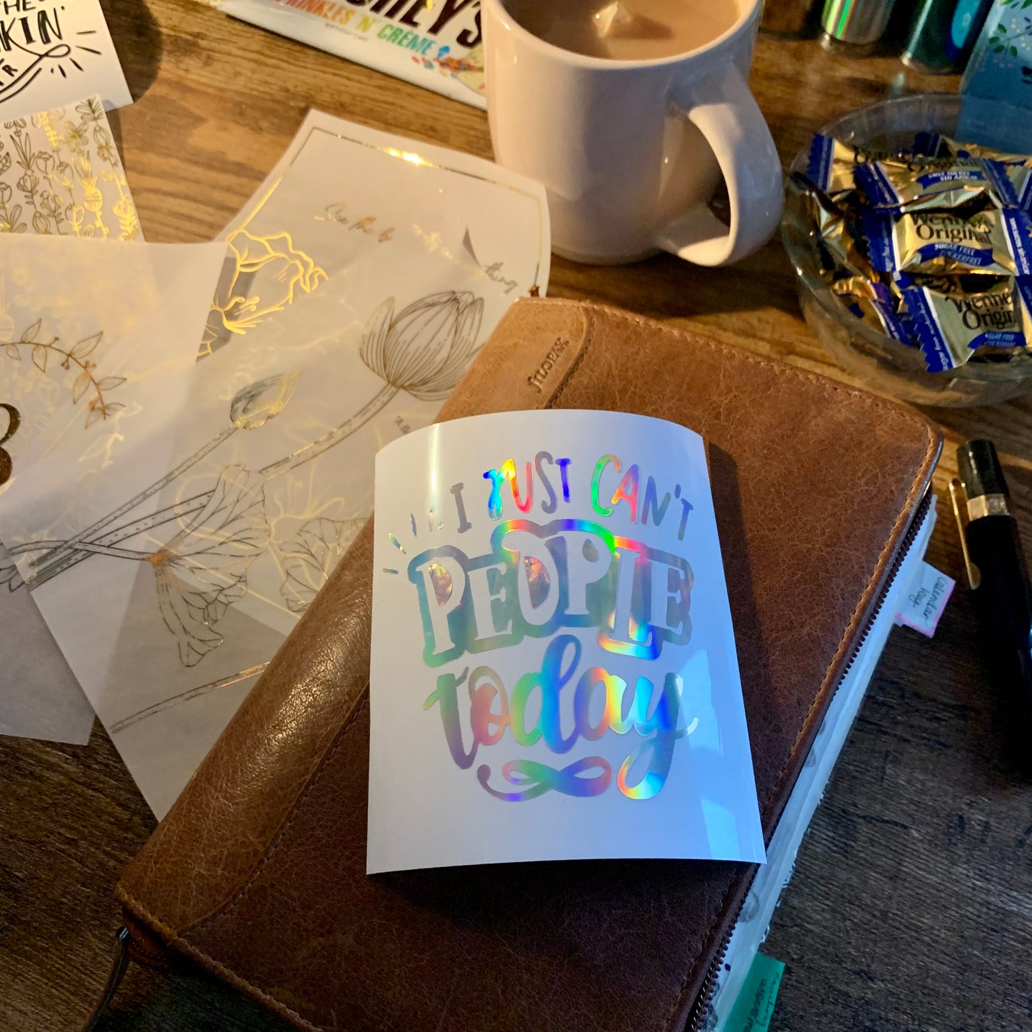 I Just Can’t People Today Funny Quote Vinyl Decal Sticker