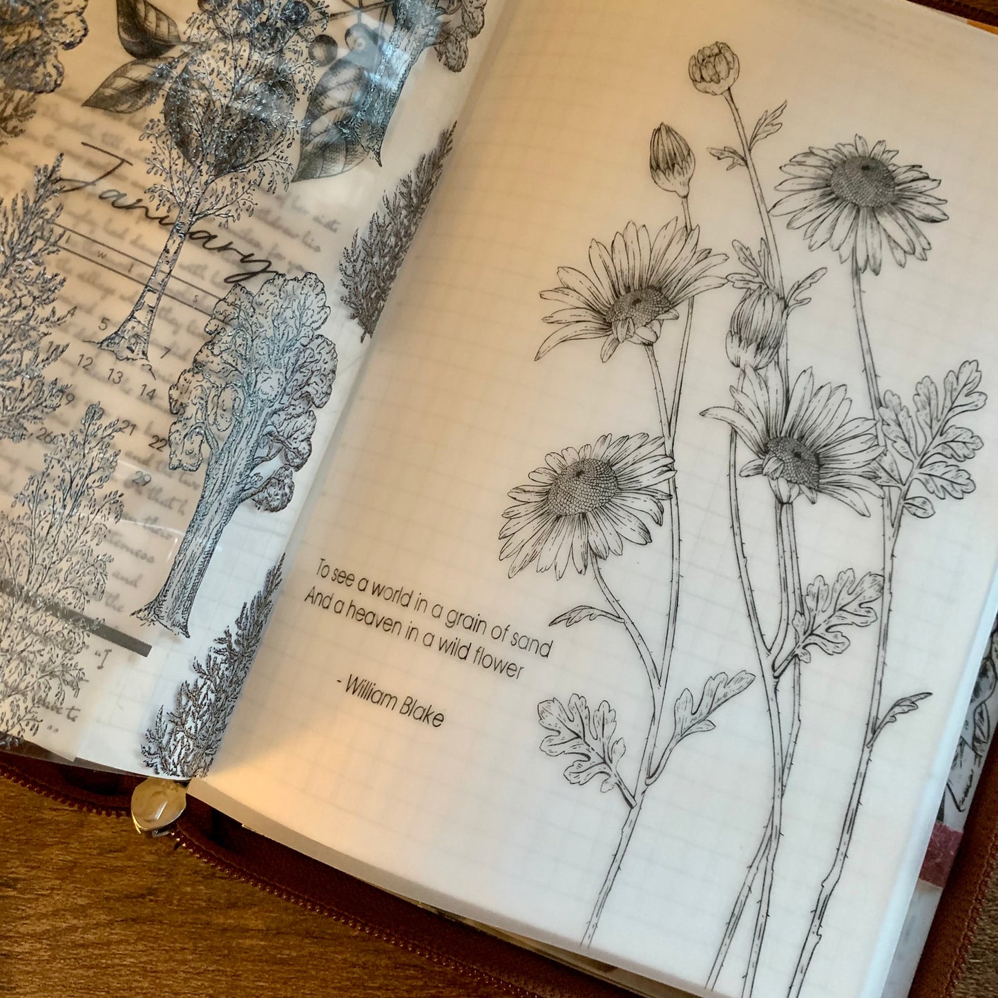 Black Foiled Floral quote Vellum Planner Dashboard - To see a world