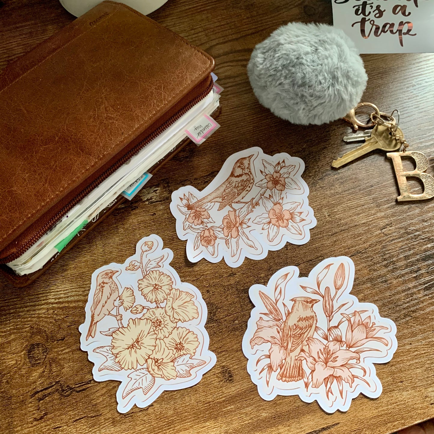 Large Vintage Bird Stickers - Set of 3