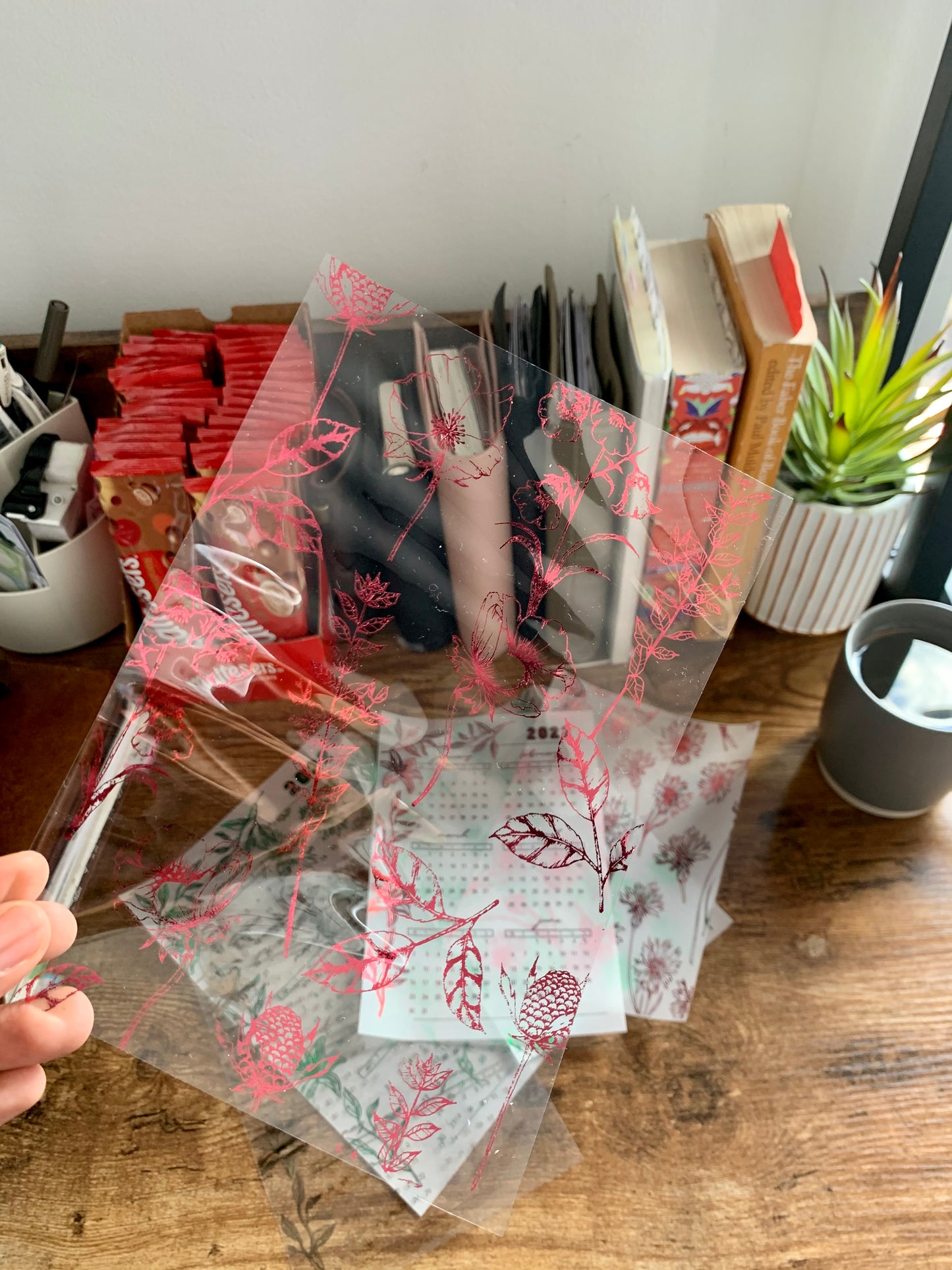 Pink Botanical Vellum X Acetate Planner Dashboard- Amelia Pink Melon