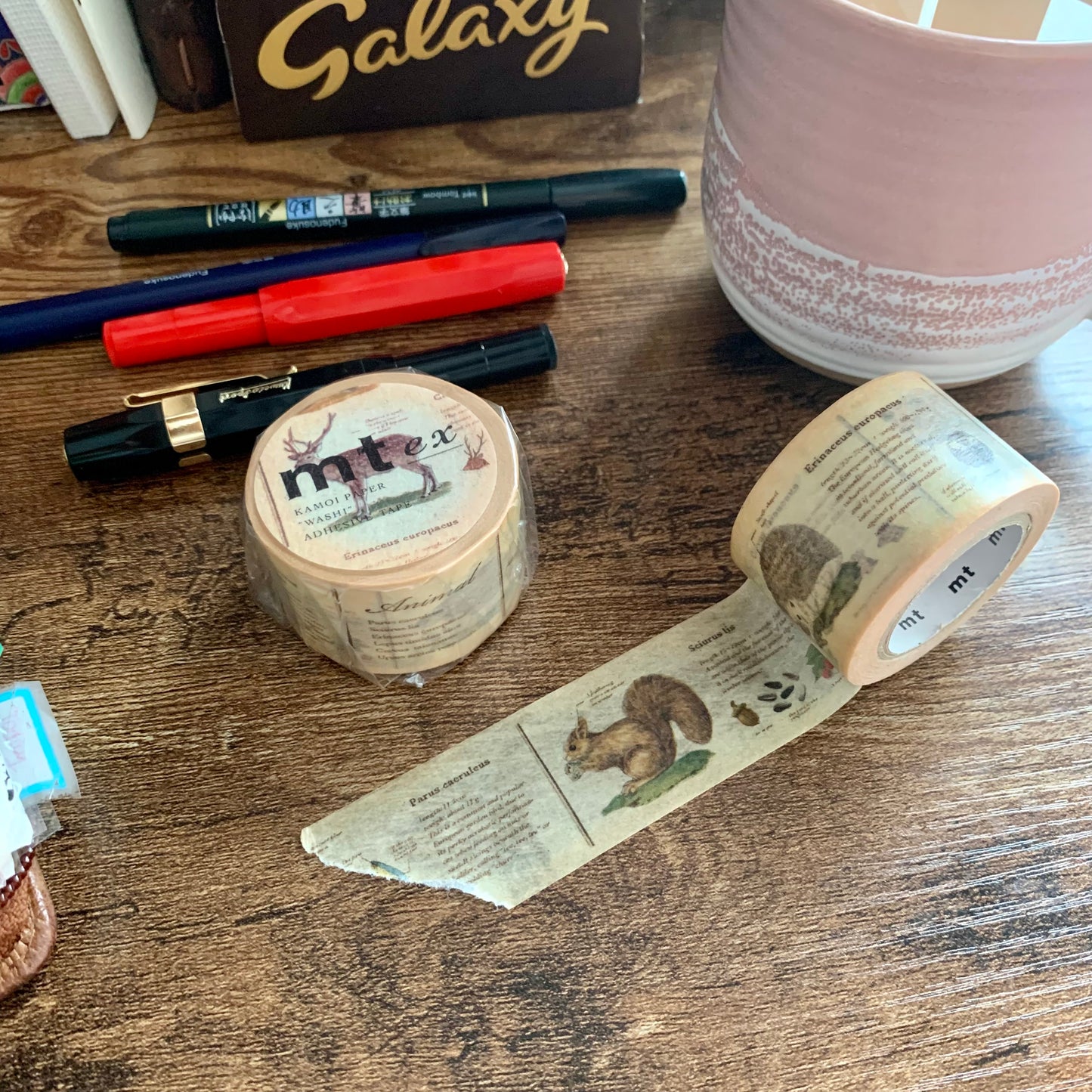 Mt Encyclopaedia Animal Washi tape