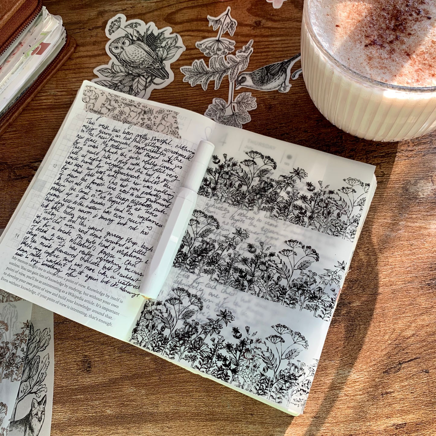 Black Foiled Hand drawn Botanical Floral Patter- Vellum X Acetate Planner Dashboard - Secret Garden