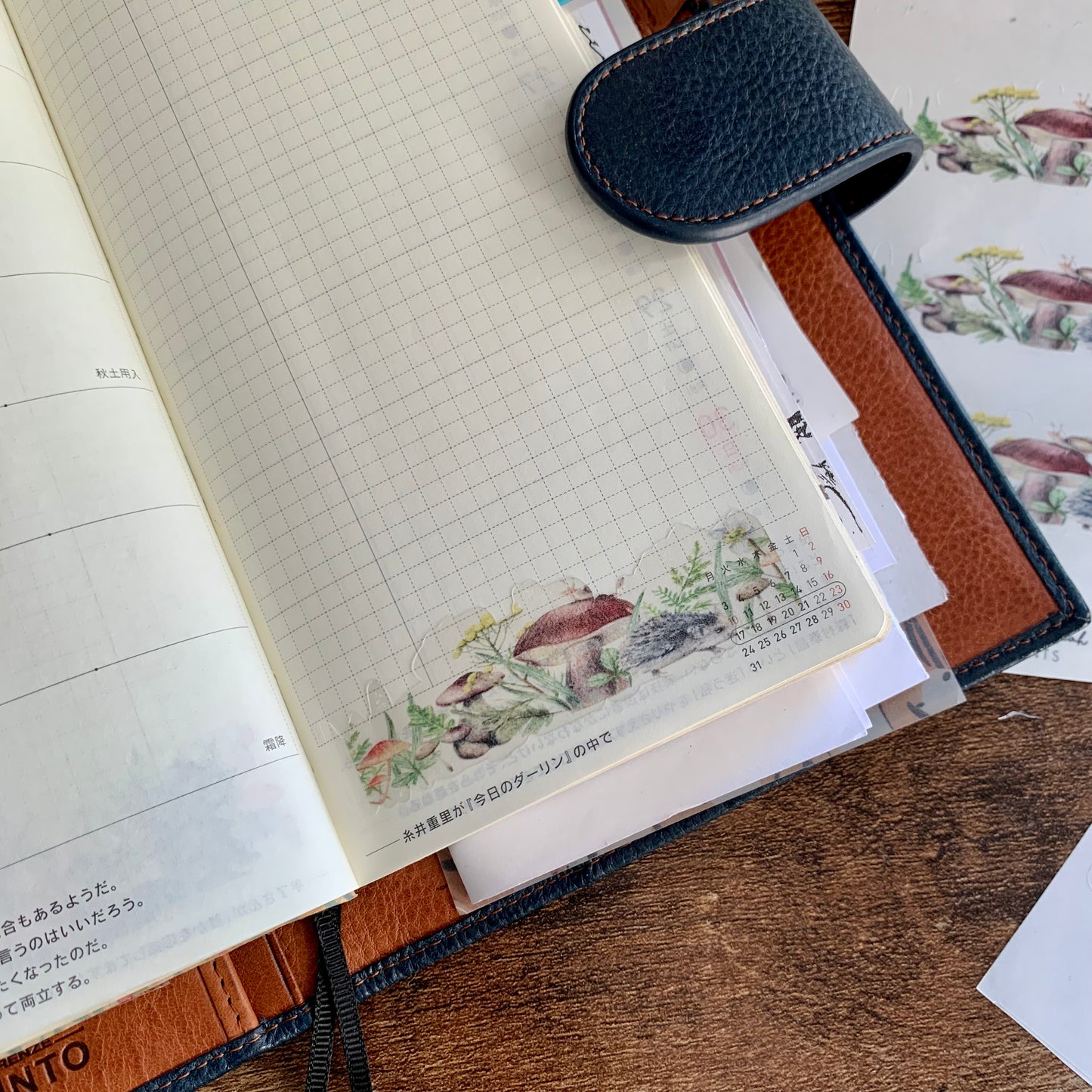 Delicate Transparent Mushroom & Snail Sticker Sheet - Washi Stickers