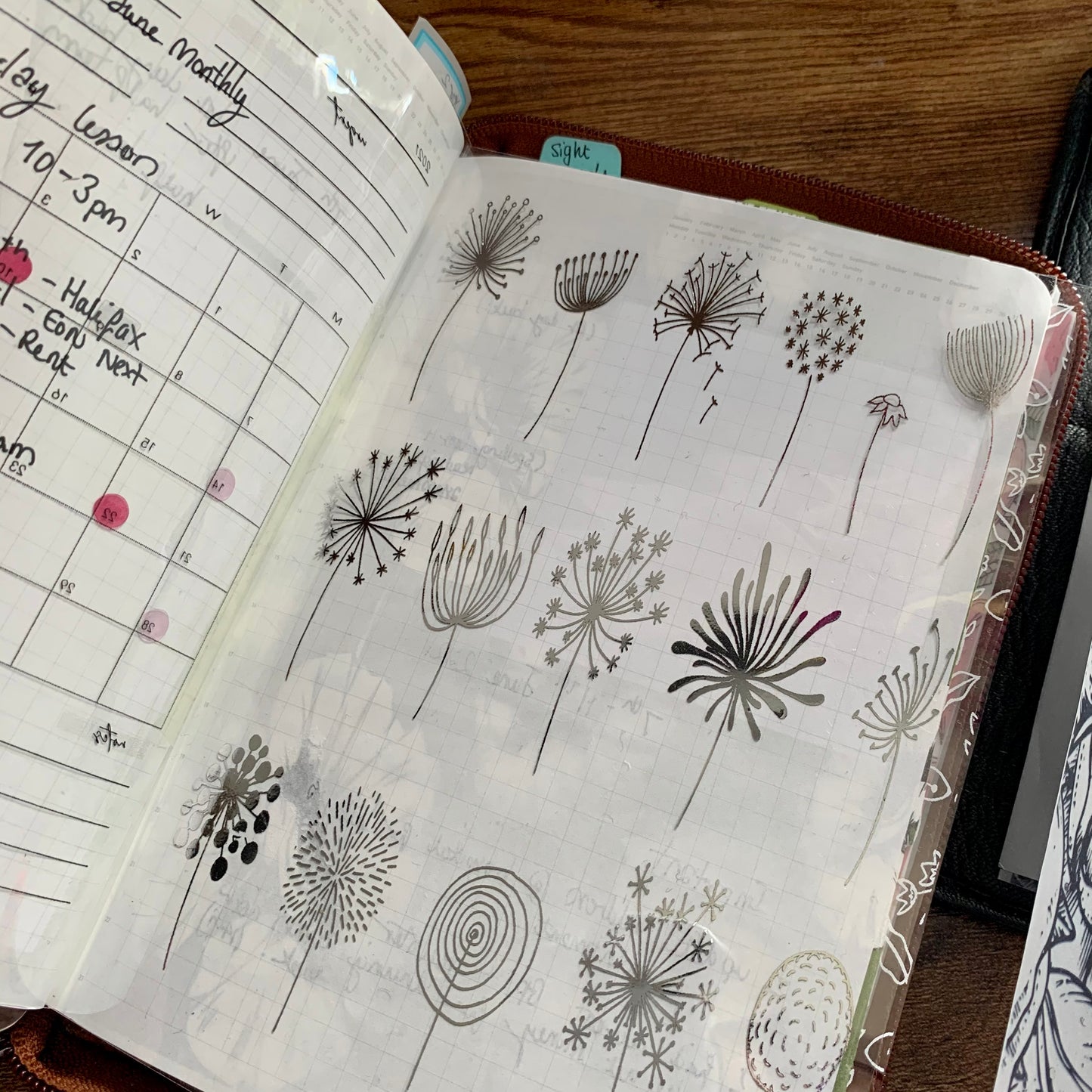 Printed Vellum X Acetate Planner Dashboard - Dandelion